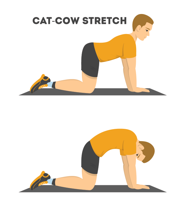 Cat Cow For Lower Back